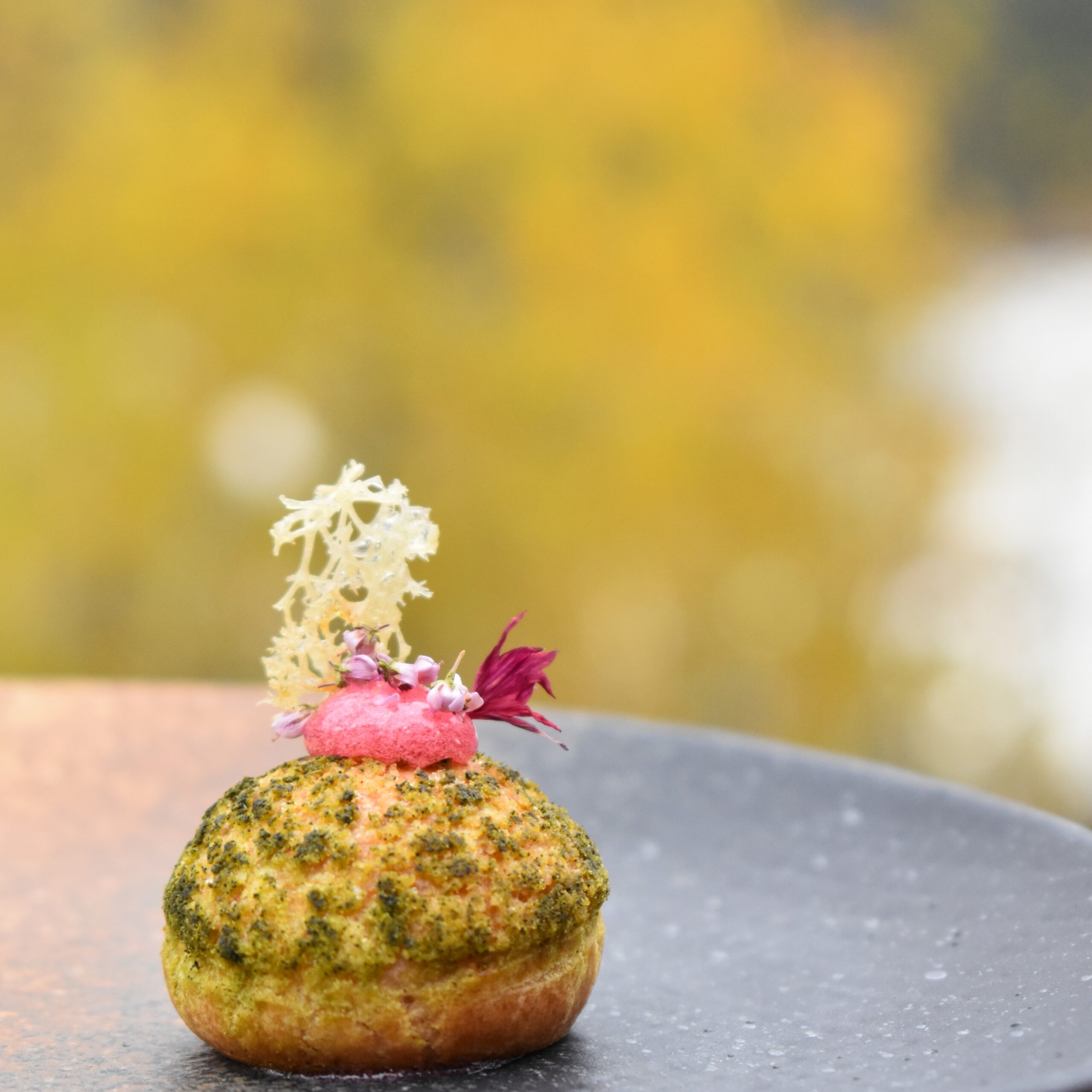 Petit Choux 2